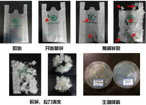 可降解塑料袋中为什么要添加碳酸钙