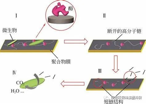 光氧、淀粉基与全生物降解的差异之处(图2)